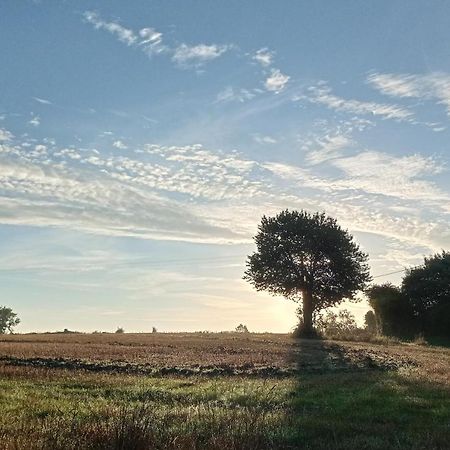 Au Mont & Merveilles Sartilly-Baie-Bocage Exteriör bild