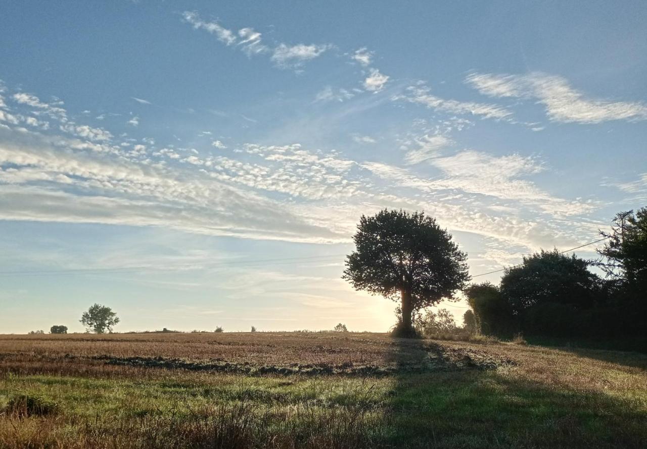 Au Mont & Merveilles Sartilly-Baie-Bocage Exteriör bild